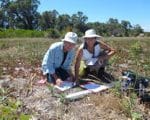 State NRM Community Stewardship Grant Workshop
