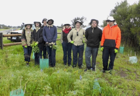 Green Army Battles Weed Invasion