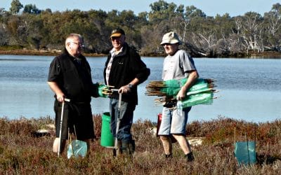 New Community Environment Grants Announced