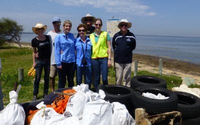 Clean Up Day Paves the Way