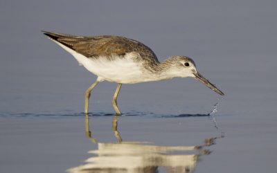 Environmental Impacts of Mining Now Considered