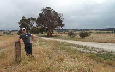 Funding for Hotham-Williams Communities