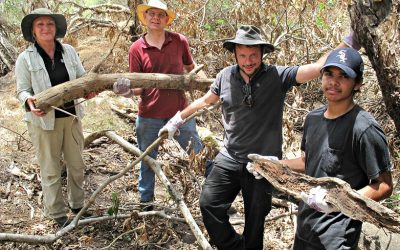 Battle of Pinjarra Massacre Site Work Progresses