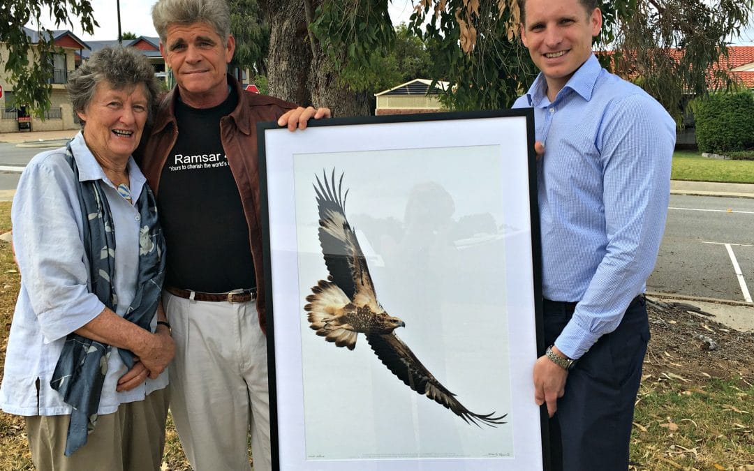 Lone Eagle Symbolises Wetlands Significance