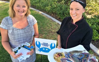 Dine On Healthy Crabs