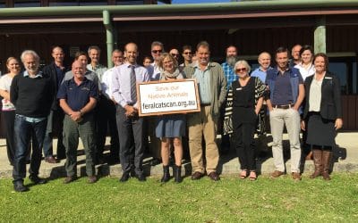 NRM Community Calls for Support of “Feral Cat Scan”