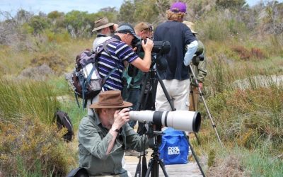 Small Local Action Grants NOW OPEN