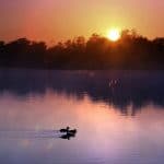 Water Soundscape Workshops ( For Adults )