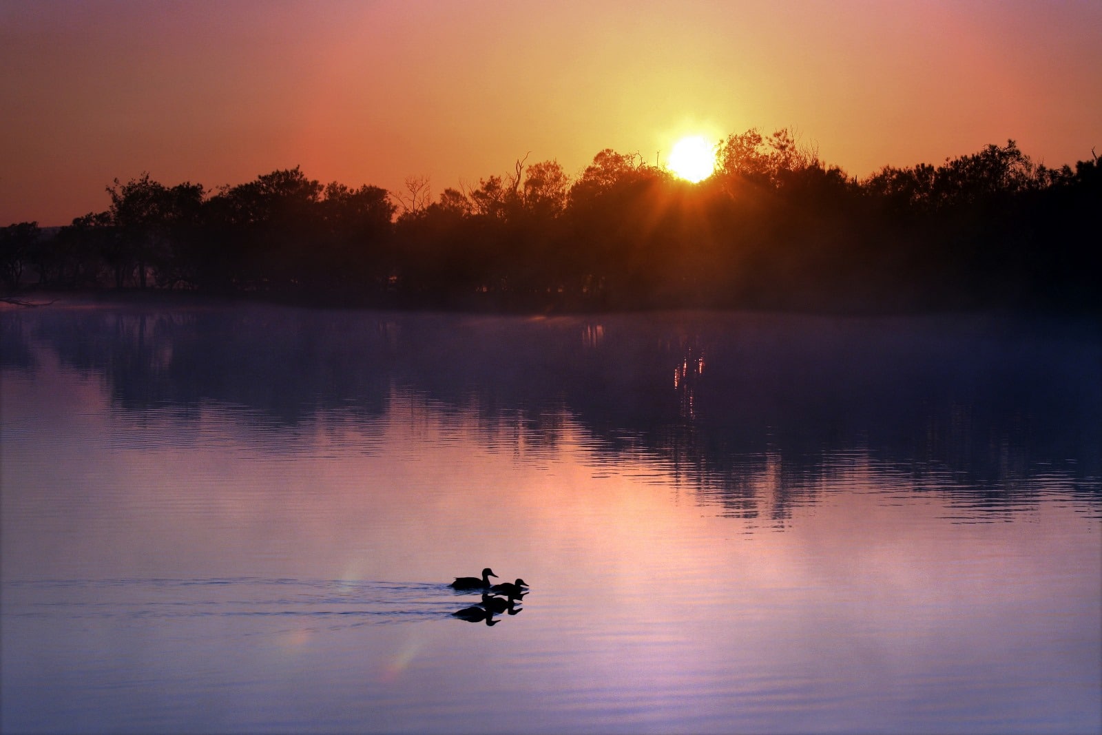Water Soundscape Workshops ( For Adults )