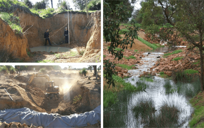 McLarty’s River Restoration Project