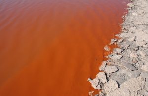 Water Quality