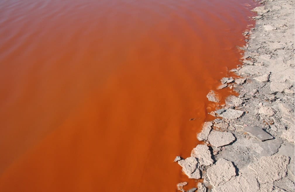 Water Quality