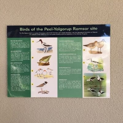 Birds of the Peel-Yalgorup Ramsar site