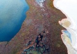 Wetlands From Above and Stretch Hydrodome