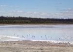 2019 WA Wetland Management Conference