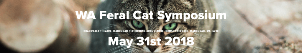 Cat-Symposium-banner