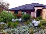 Landcare SJ Native Garden Expo