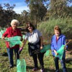 Tunbridge Gully Reed Planting Day