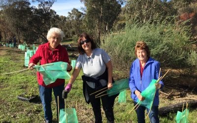 Hotham-Williams Landcare Matters #23