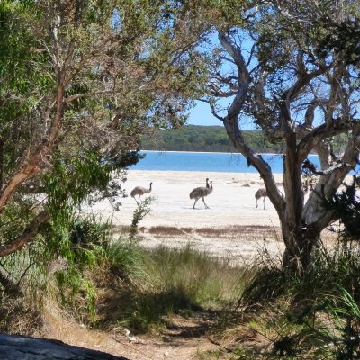 Yalgorup Bioblitz 2018