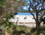 Yalgorup Bioblitz 2018