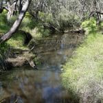 Serpentine River Community Forum (Invitation Only)