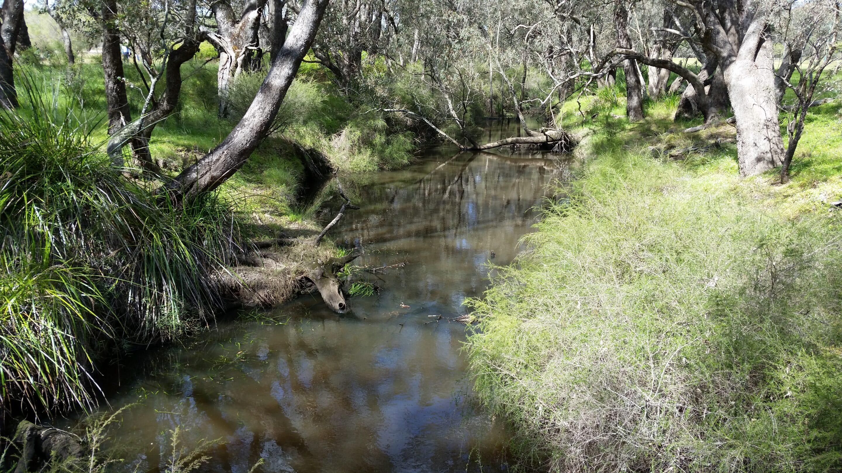 Serpentine River Community Forum (Invitation Only)