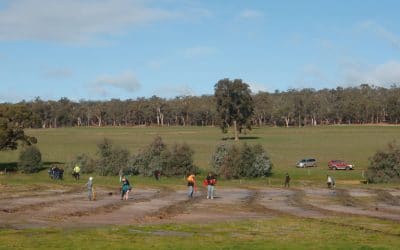 Reinvigorating Landcare in the Hotham-Williams