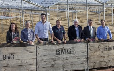 Guiding horticultural investors and growers in the Peel-Harvey