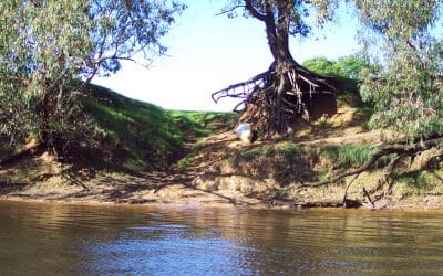 Restoration of WA’s mighty Murray River