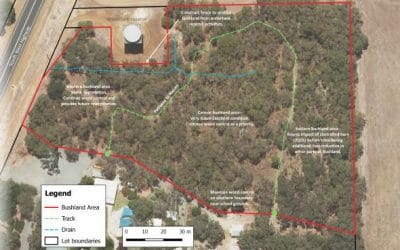 Managing bushland on school sites
