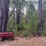 S.H.A.R.E. in the Shed:  Managing  our forests  - for what?