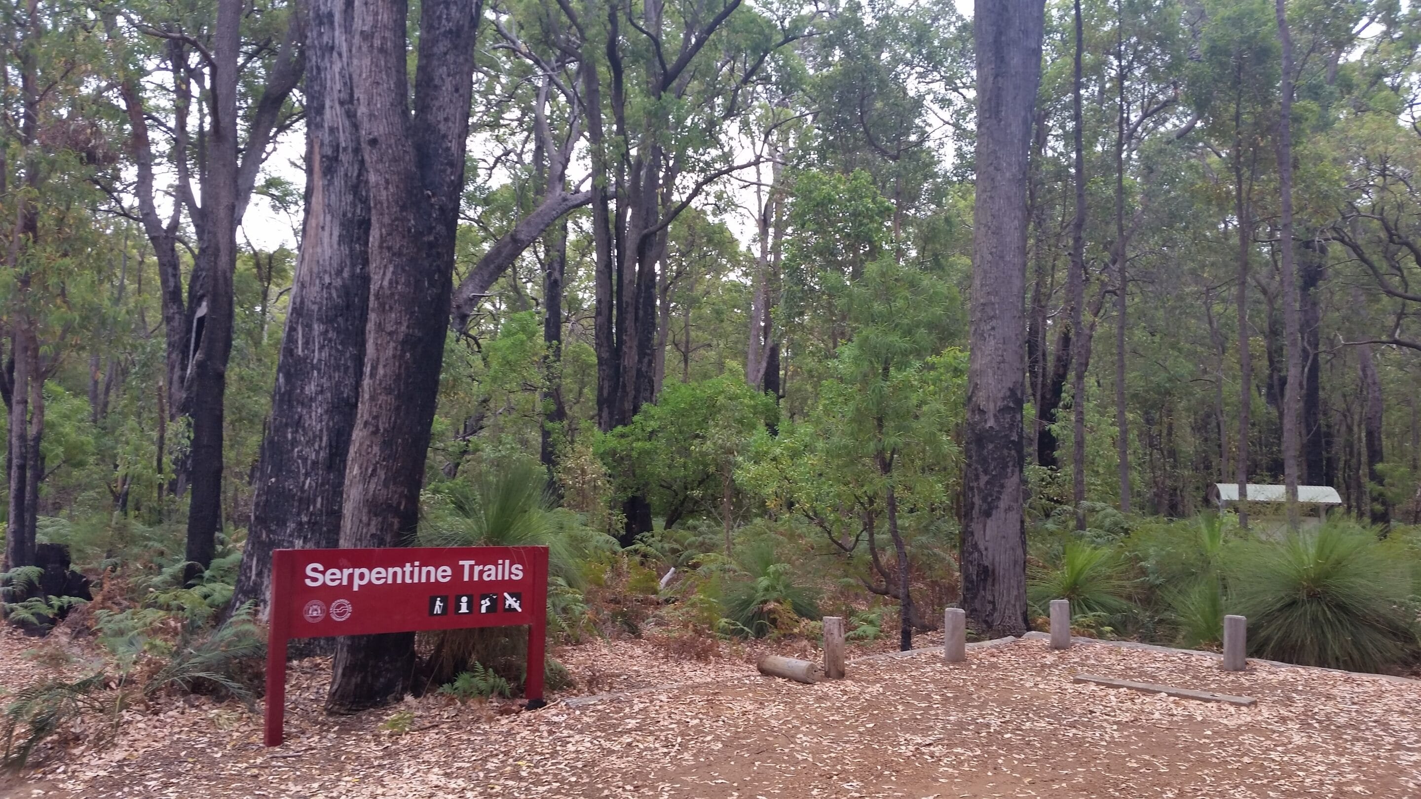 S.H.A.R.E. in the Shed:  Managing  our forests  - for what?