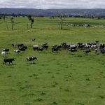 Soil Testing Farmer Workshop