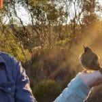 Raptors:  Adaptable hunters of the suburban jungle and rulers of the forest canopy