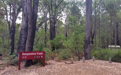 Managing our Forests – For What?