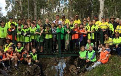 Effective Collaboration and Catchment Management