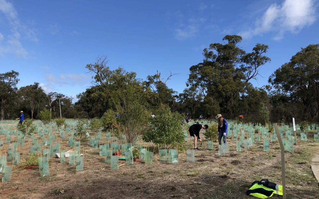 City of Mandurah National Tree Day 2019