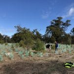 City of Mandurah National Tree Day 2019