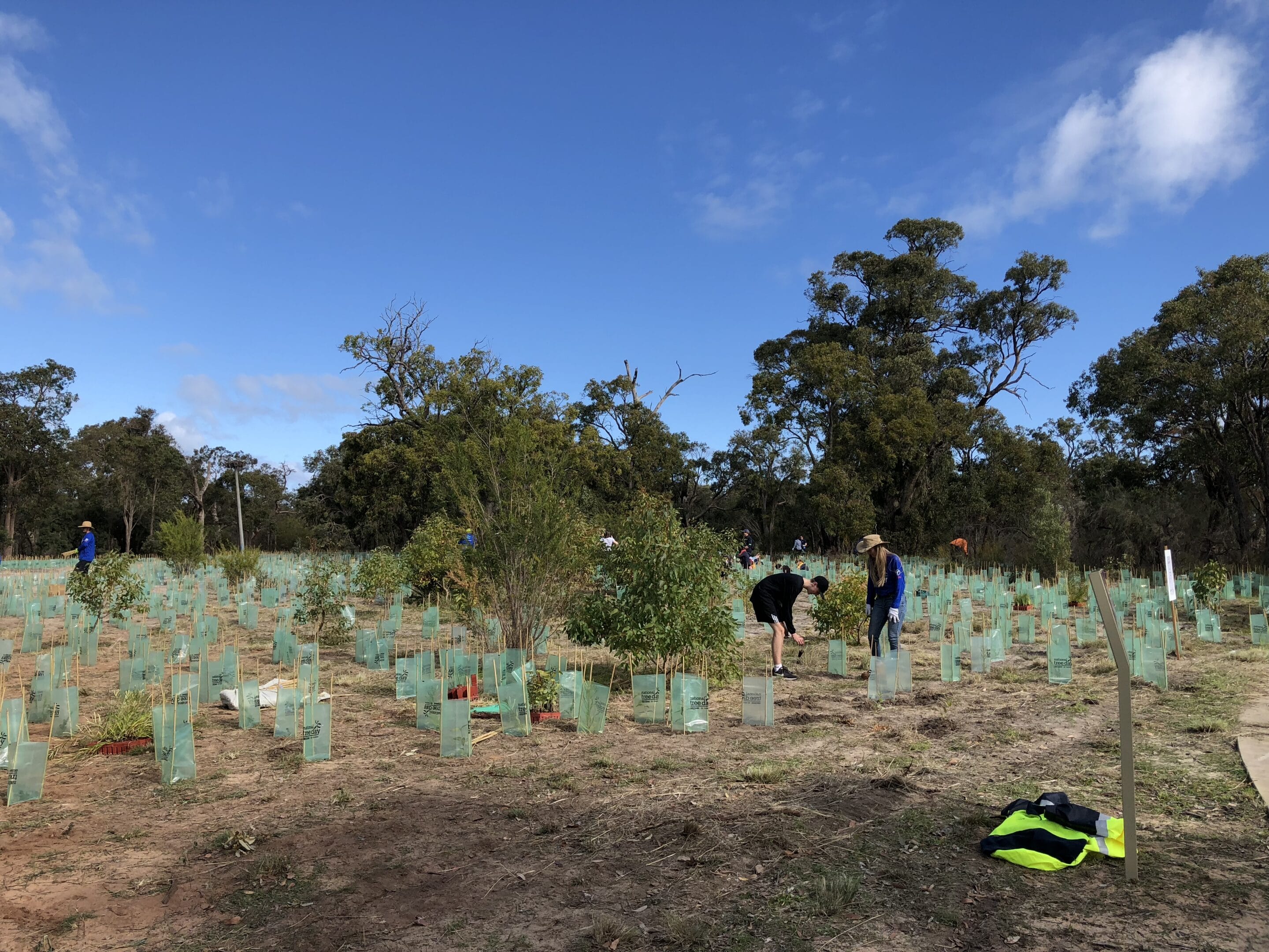 City of Mandurah National Tree Day 2019