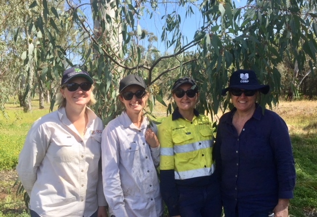 Hotham-Williams Landcare Matters #27