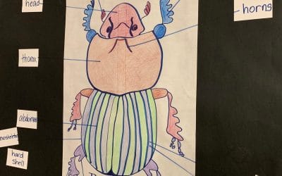 Will Desmond the Dung Beetle save the World?