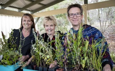 Lake Clifton Catchment Conservation Stewardship Project