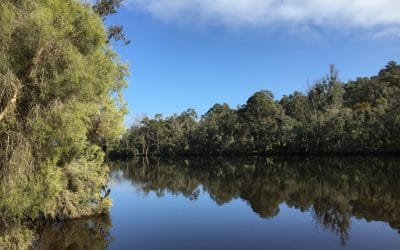 Hotham-Williams Rivers and Tributaries’  Natural Resource Management and Conservation Project