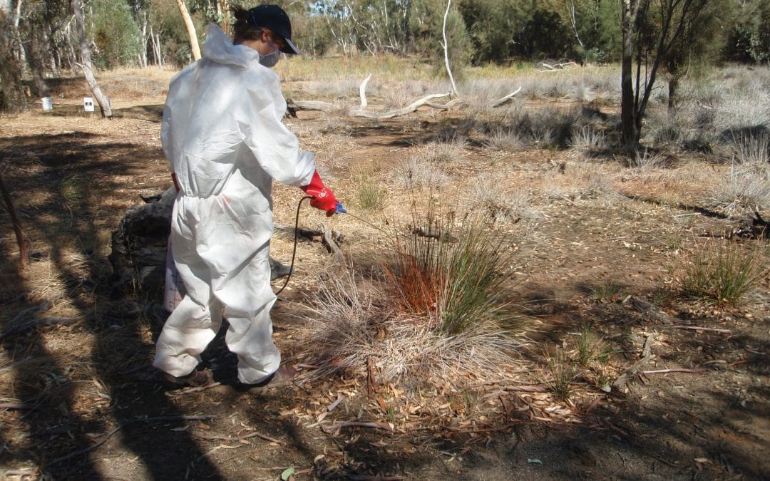 Hotham-Williams Landcare Matters #32