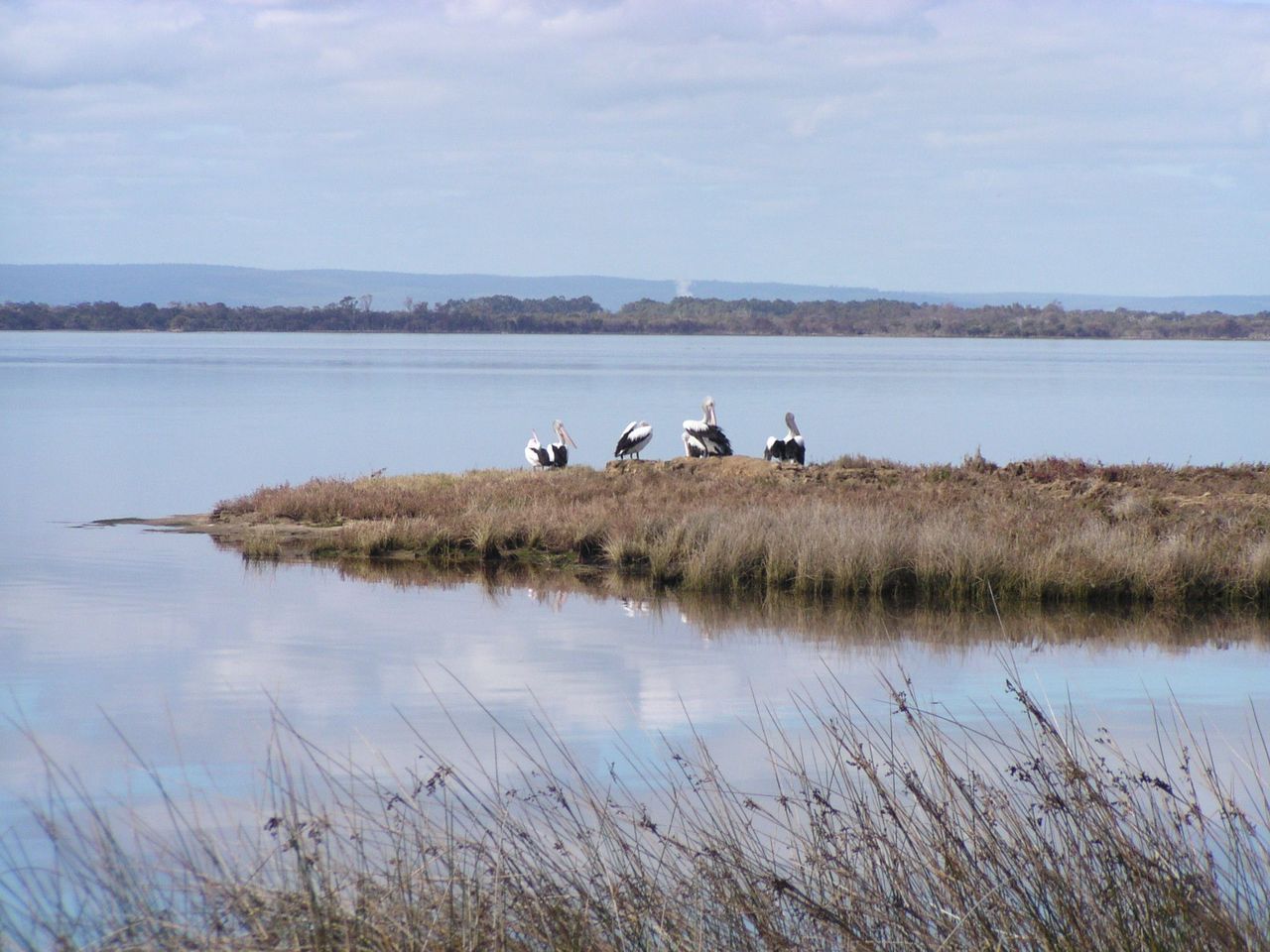 Ramsar TAG Meeting