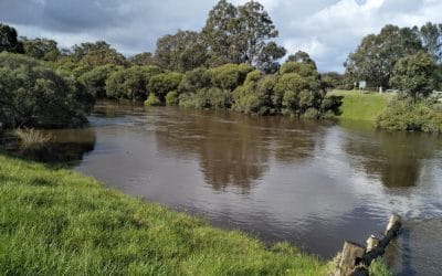 Connecting Corridors and Communities:  Restoring the Serpentine River