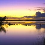 Wetland Walk and Talk