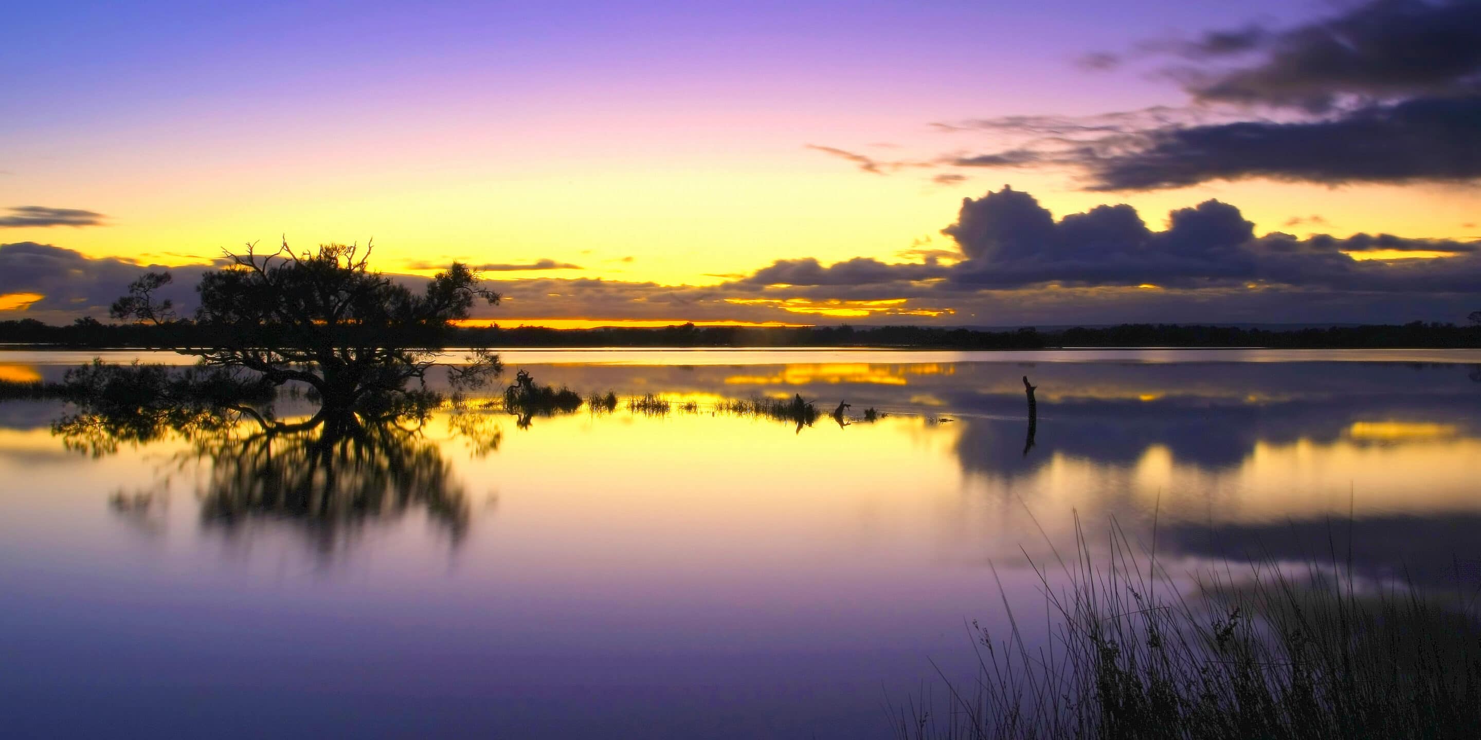 Wetland Walk and Talk