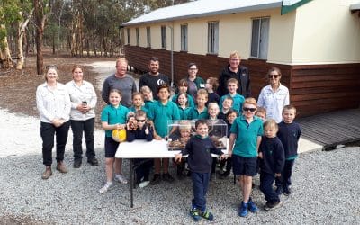 New Nest Boxes for Phascogales in Dryandra